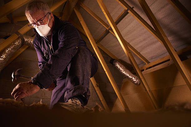 Best Insulation Materials and Products in Greenville, TX